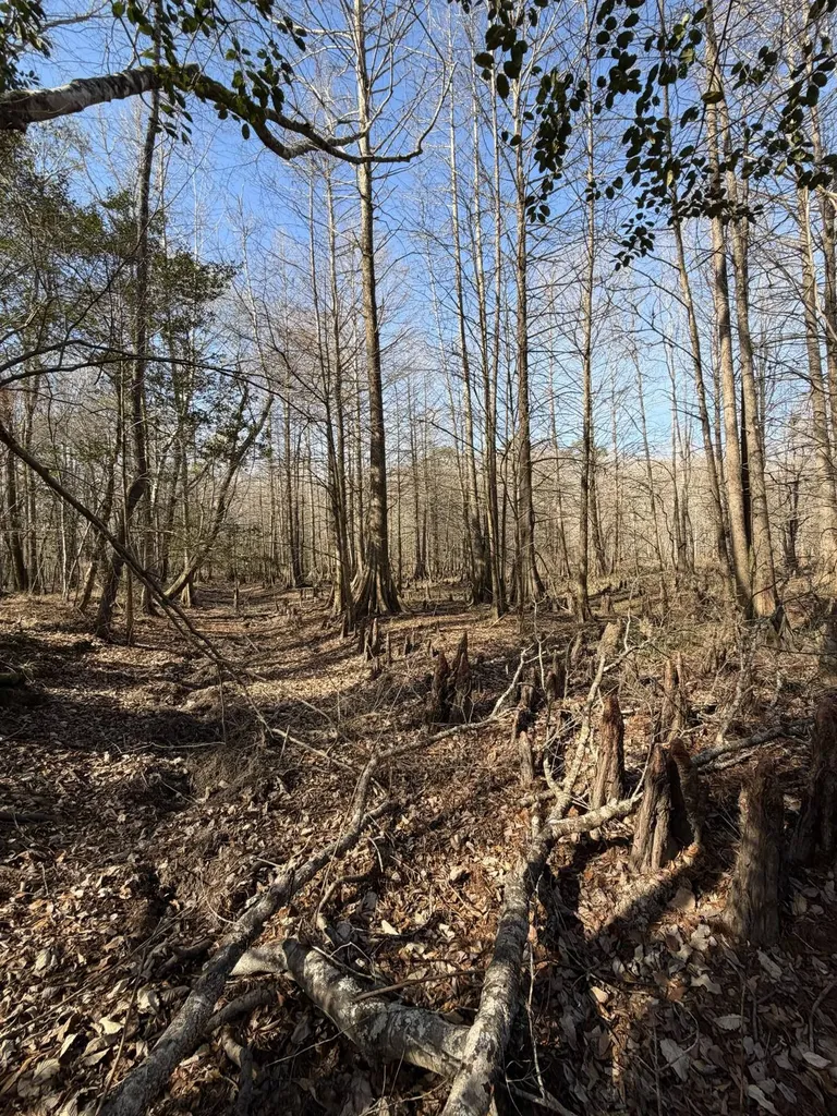 0 Highway 106 Branltey AL 36009