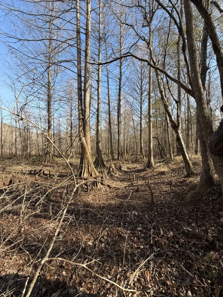 0 Highway 106 Branltey AL 36009