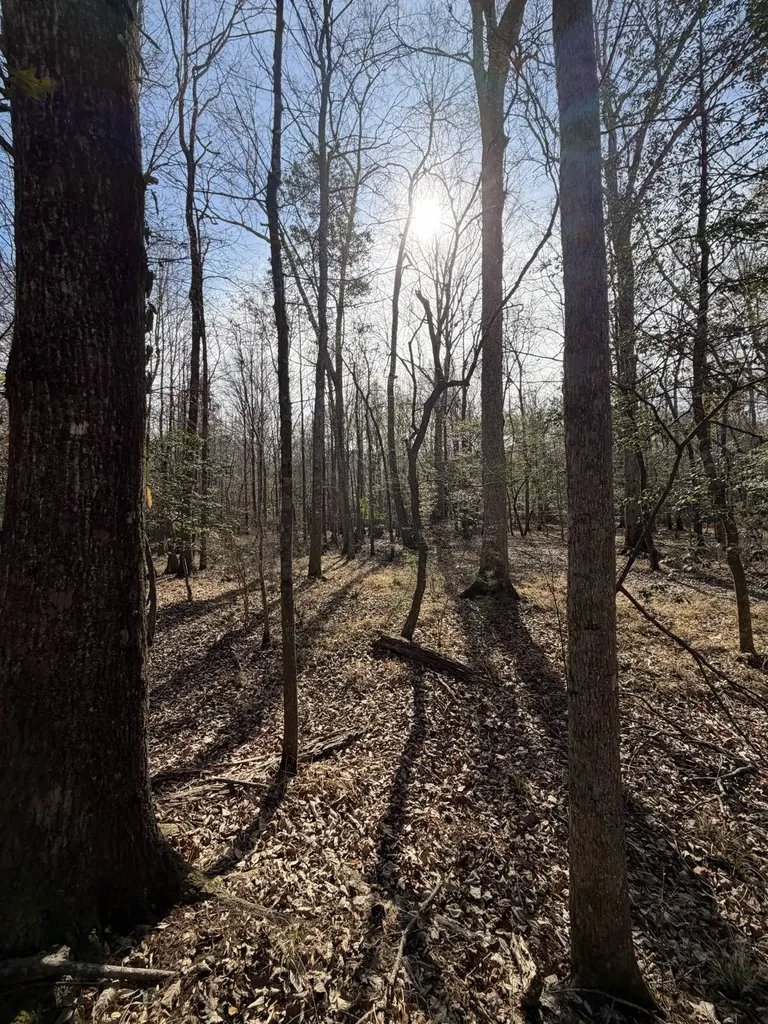 0 Highway 106 Branltey AL 36009