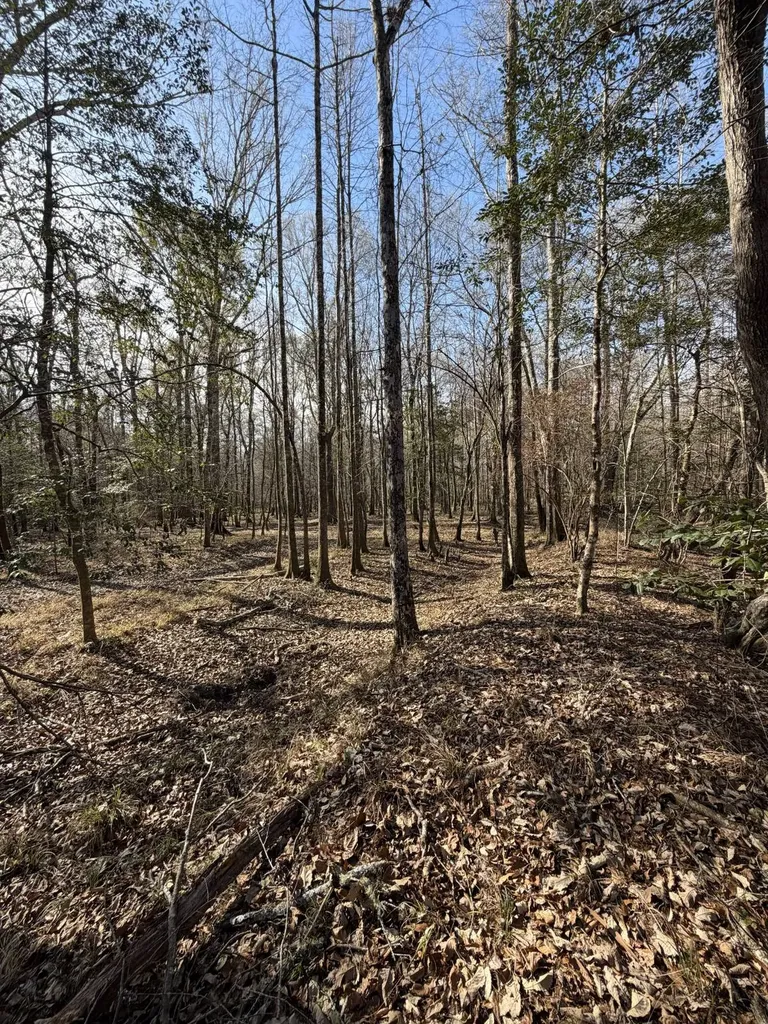 0 Highway 106 Branltey AL 36009