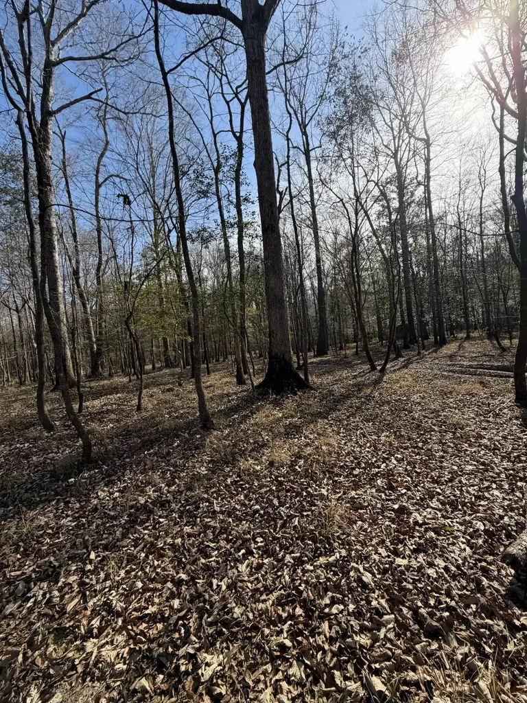 0 Highway 106 Branltey AL 36009