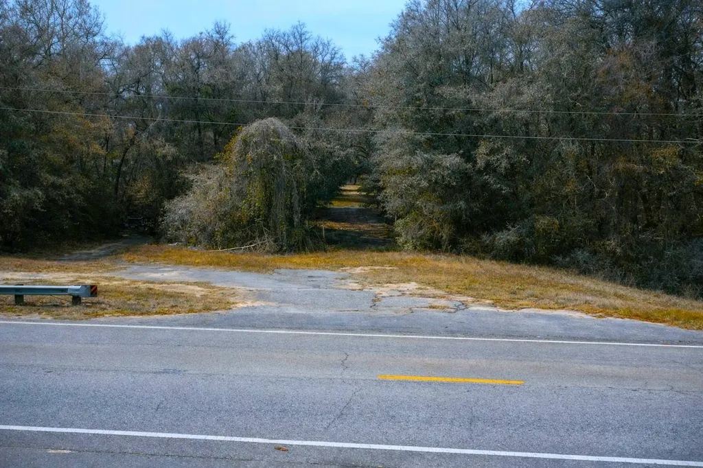 0 Highway 106 Branltey AL 36009