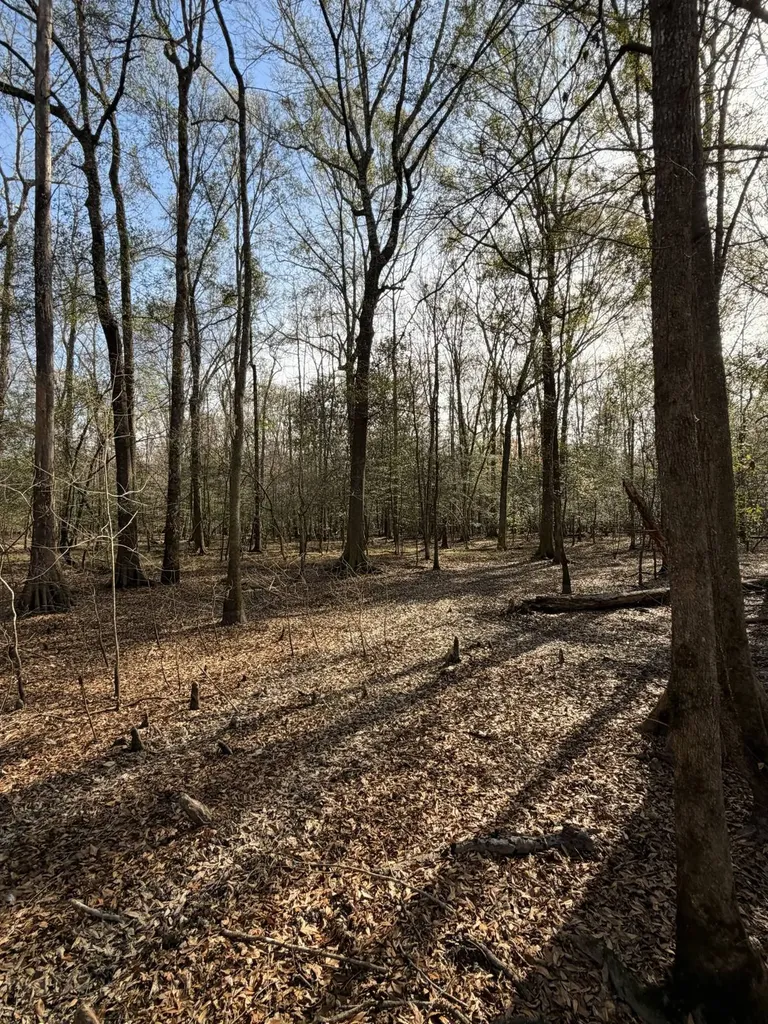 0 Highway 106 Branltey AL 36009