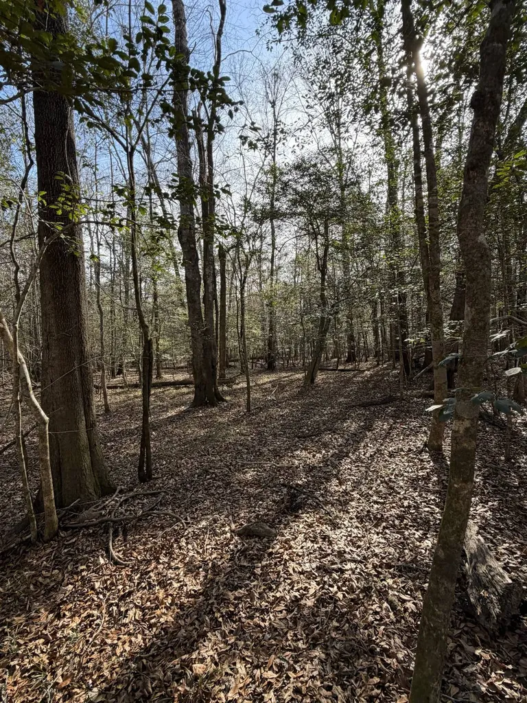 0 Highway 106 Branltey AL 36009