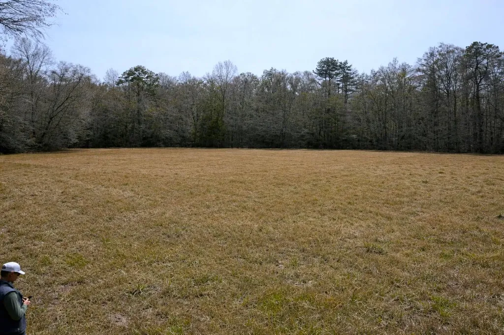 0 Highway 106 Branltey AL 36009