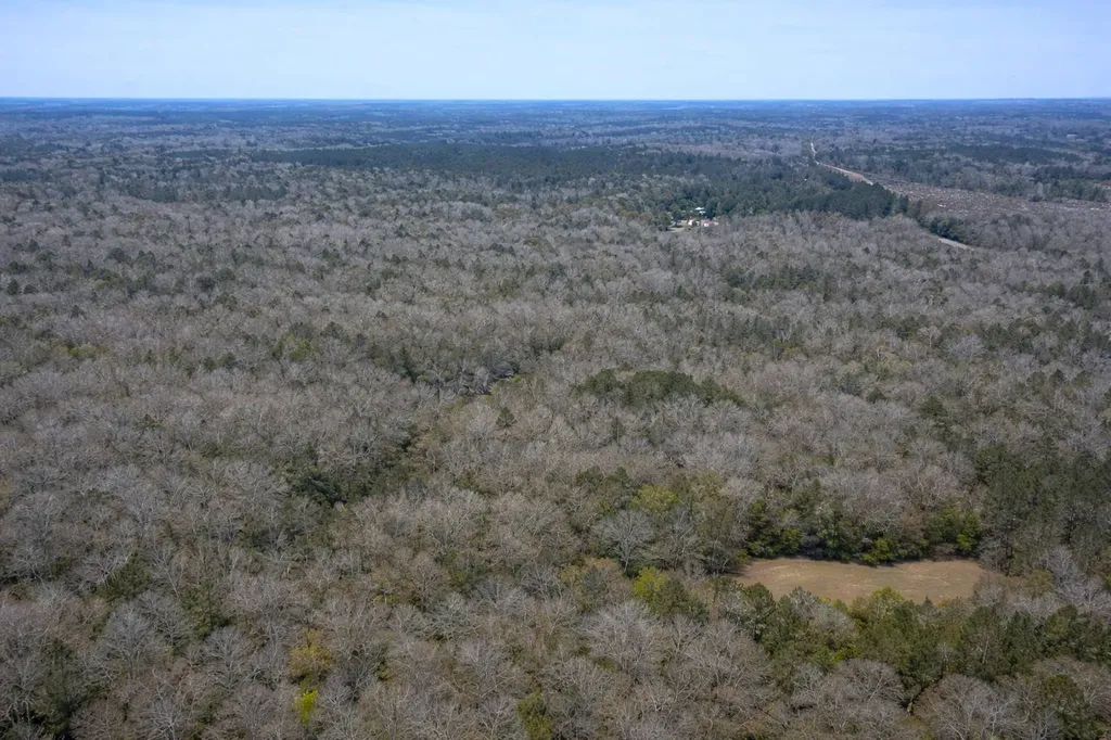 0 Highway 106 Branltey AL 36009