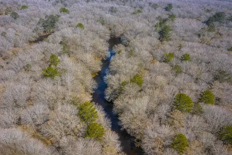 0 Highway 106 Branltey AL 36009