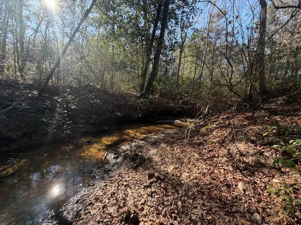 0 Ferrell Road Red Level AL 36474