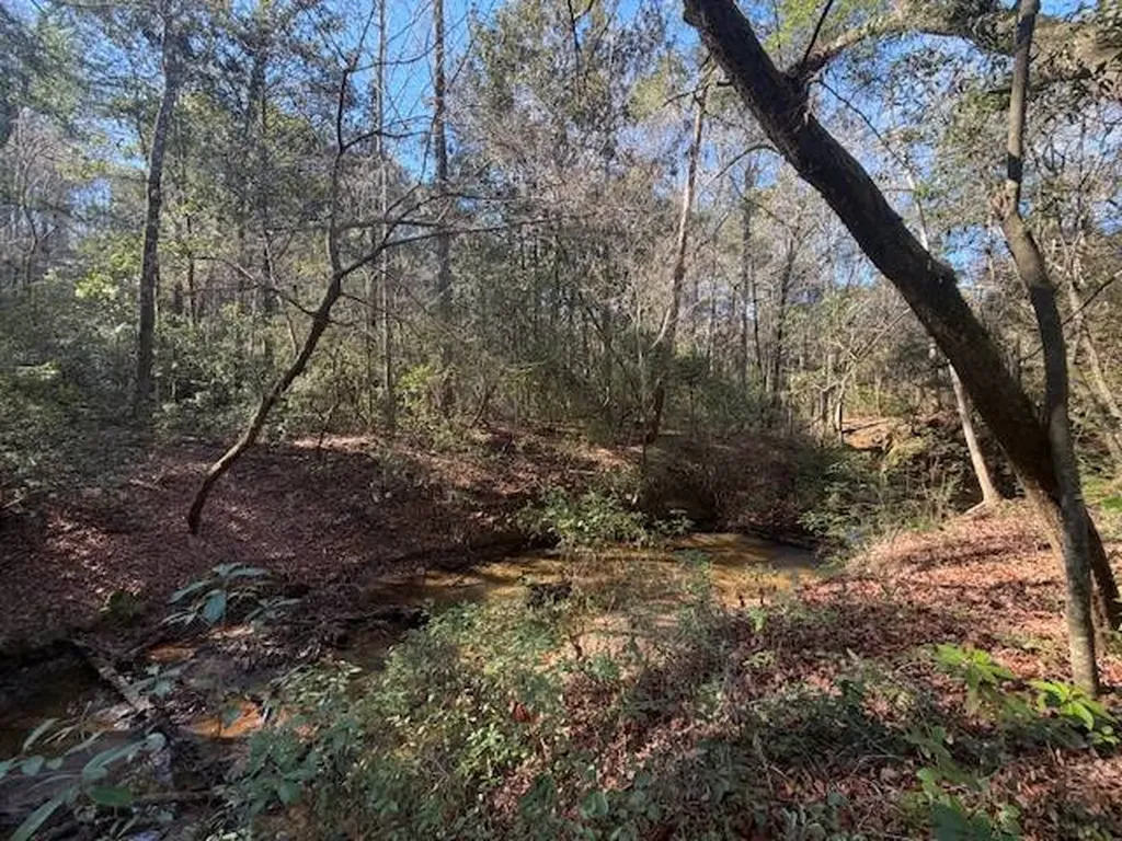 0 Ferrell Road Red Level AL 36474