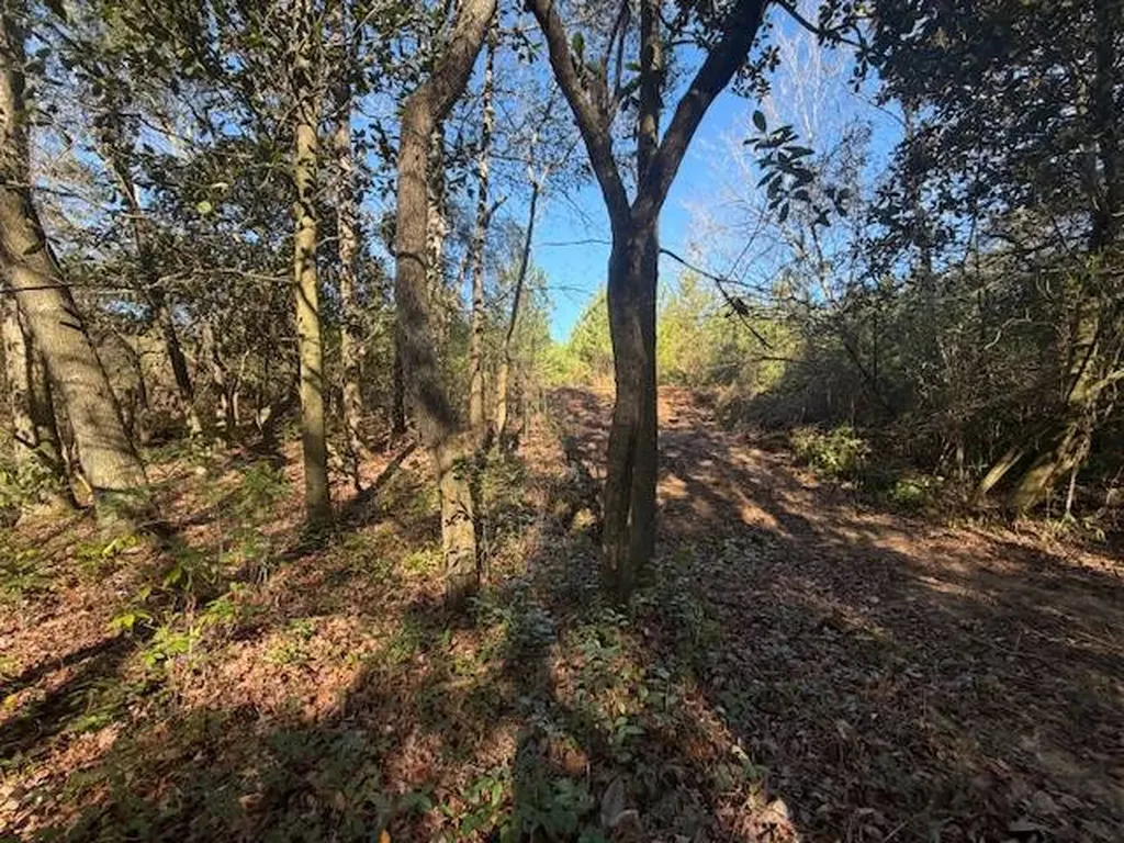 0 Ferrell Road Red Level AL 36474