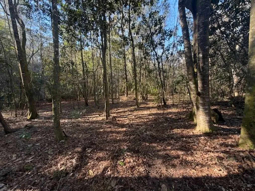 0 Ferrell Road Red Level AL 36474