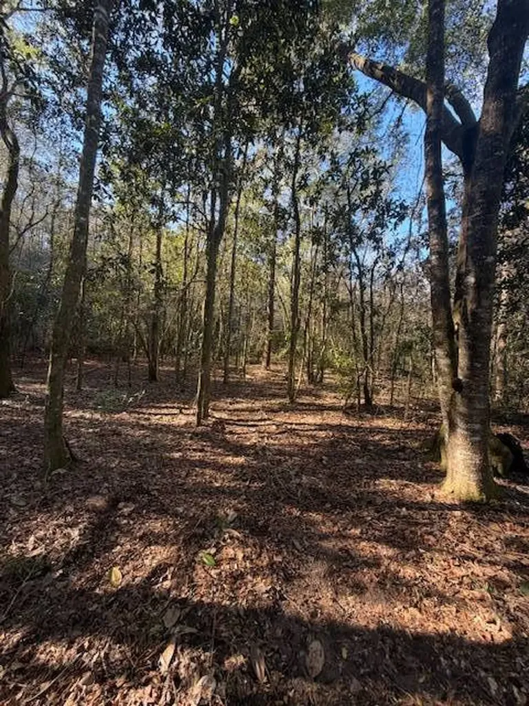 0 Ferrell Road Red Level AL 36474