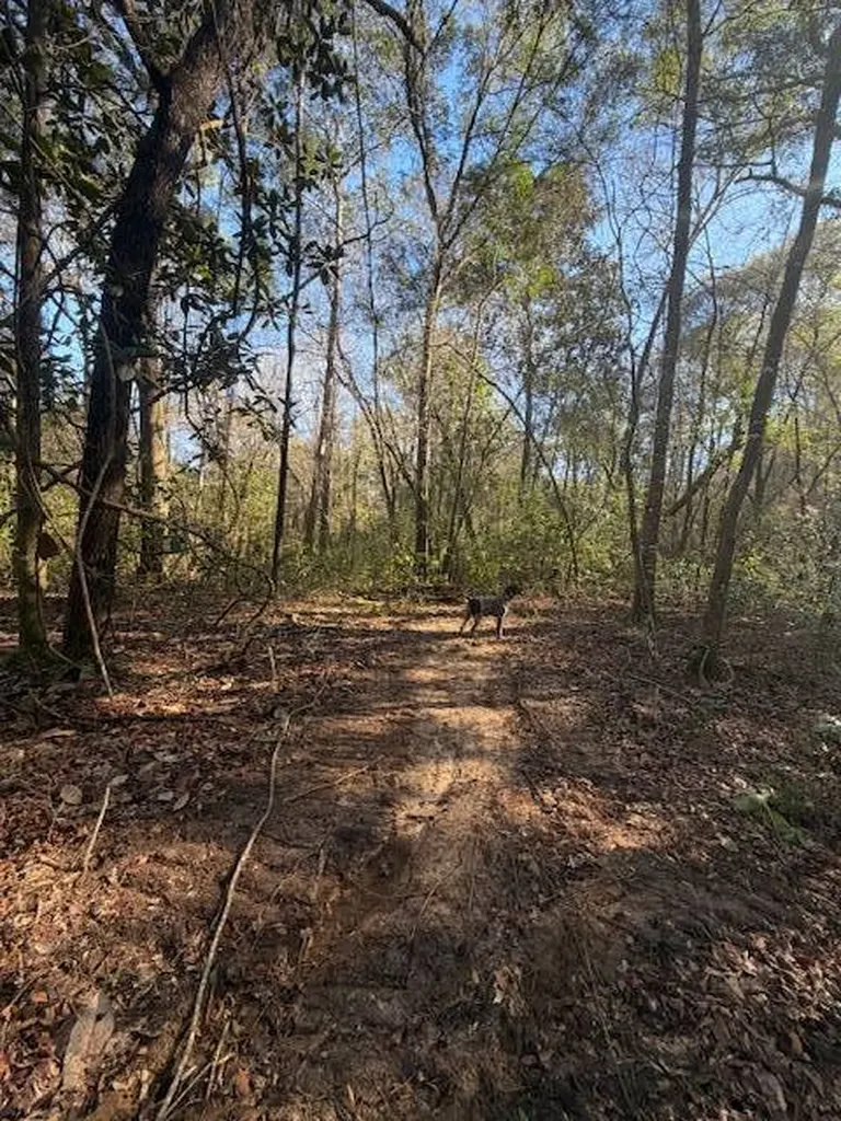 0 Ferrell Road Red Level AL 36474