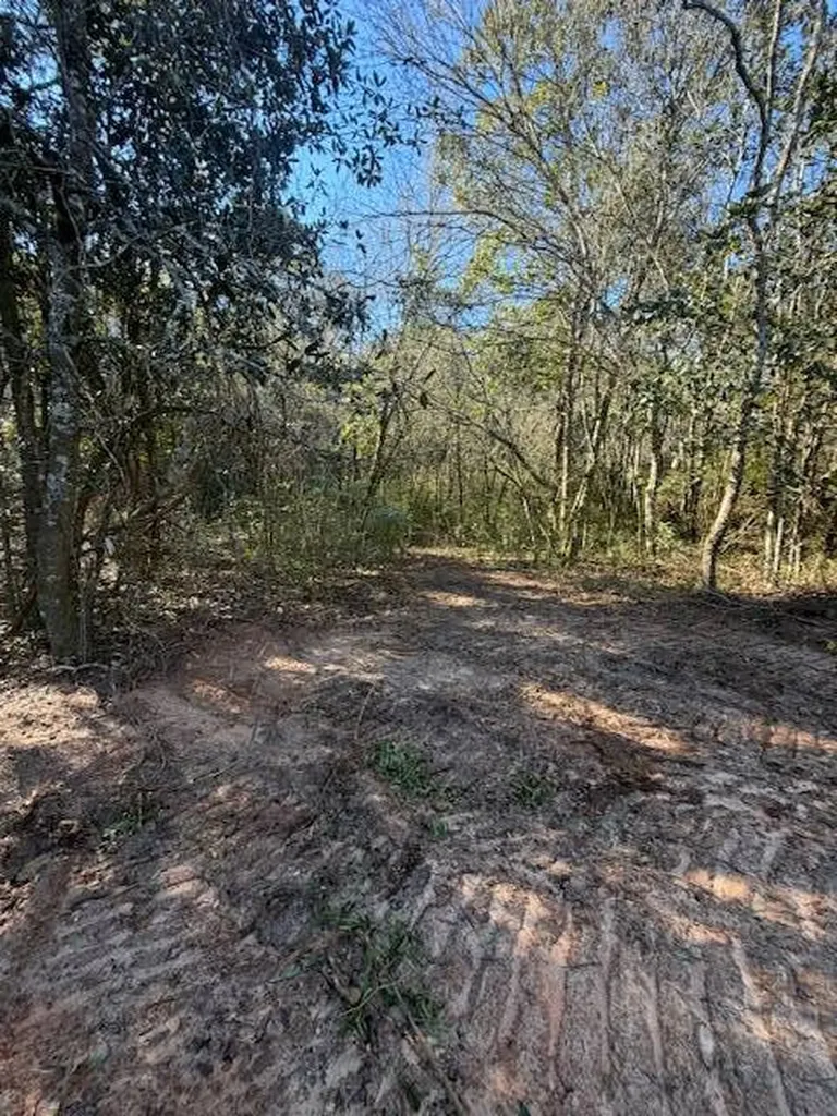 0 Ferrell Road Red Level AL 36474