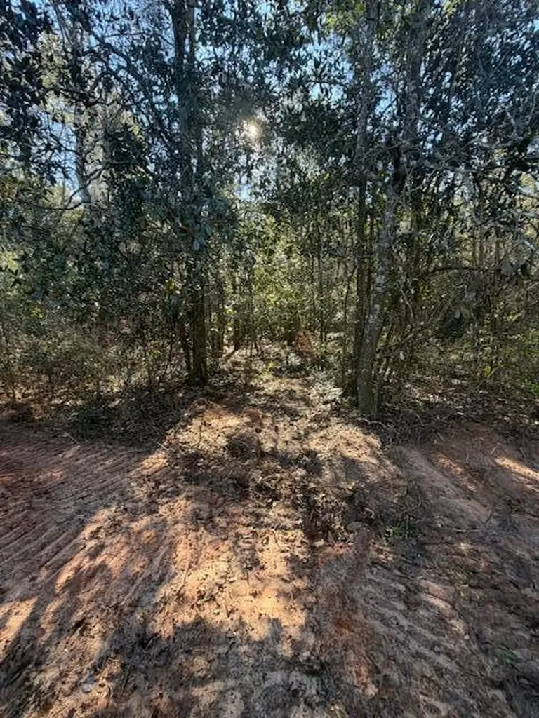 0 Ferrell Road Red Level AL 36474