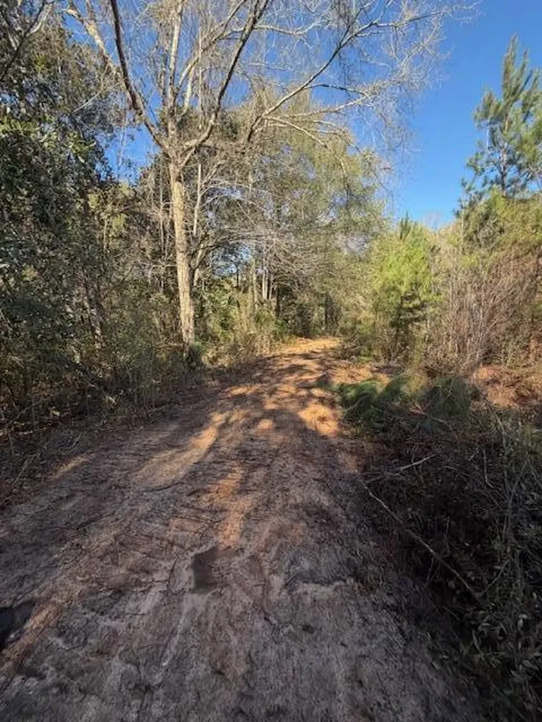 0 Ferrell Road Red Level AL 36474