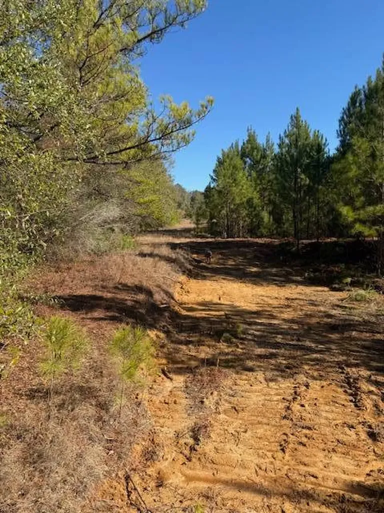 0 Ferrell Road Red Level AL 36474