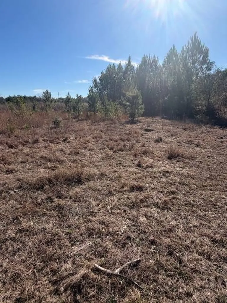 0 Ferrell Road Red Level AL 36474