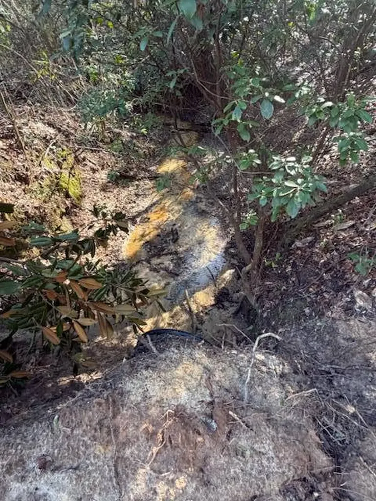 0 Ferrell Road Red Level AL 36474