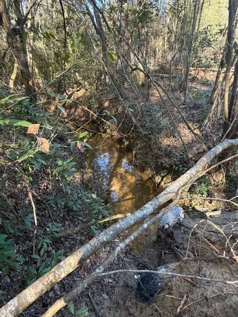 0 Ferrell Road Red Level AL 36474