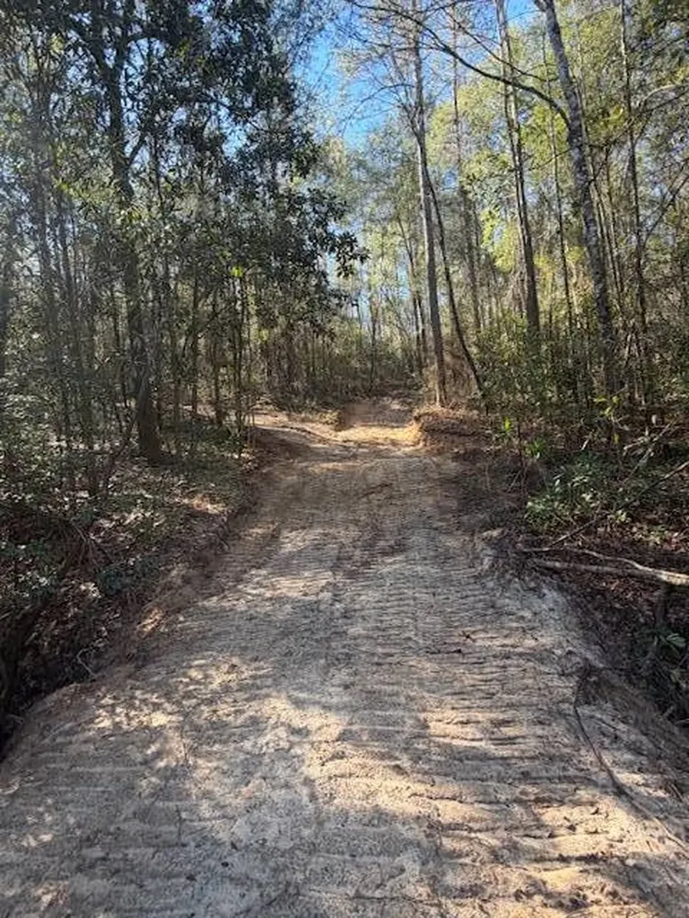 0 Ferrell Road Red Level AL 36474