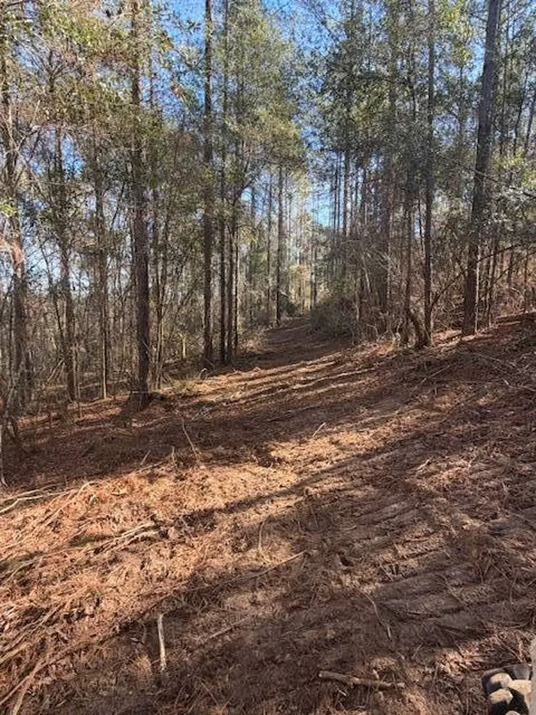 0 Ferrell Road Red Level AL 36474