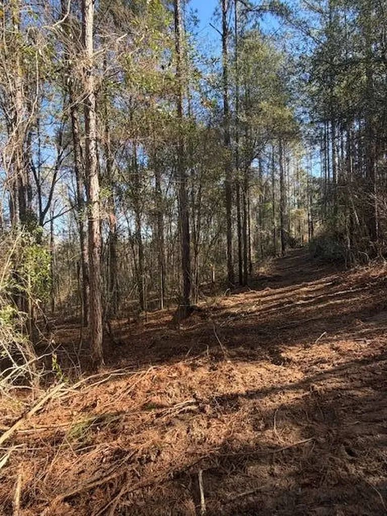 0 Ferrell Road Red Level AL 36474