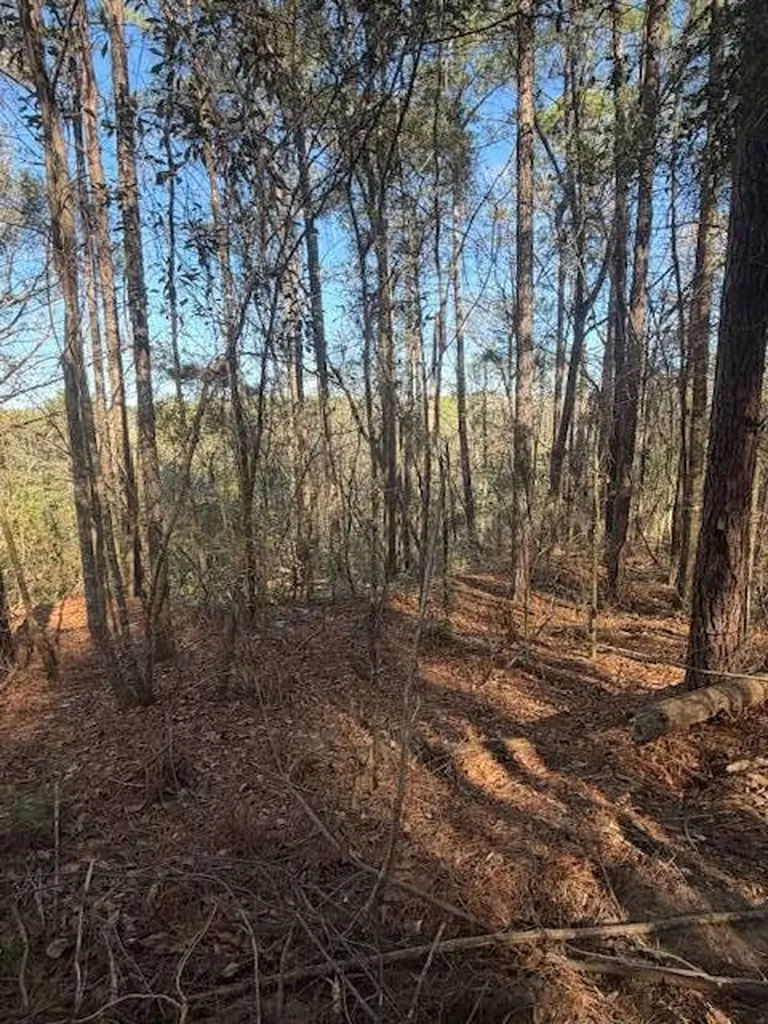 0 Ferrell Road Red Level AL 36474