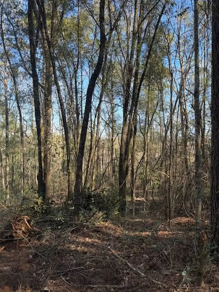 0 Ferrell Road Red Level AL 36474