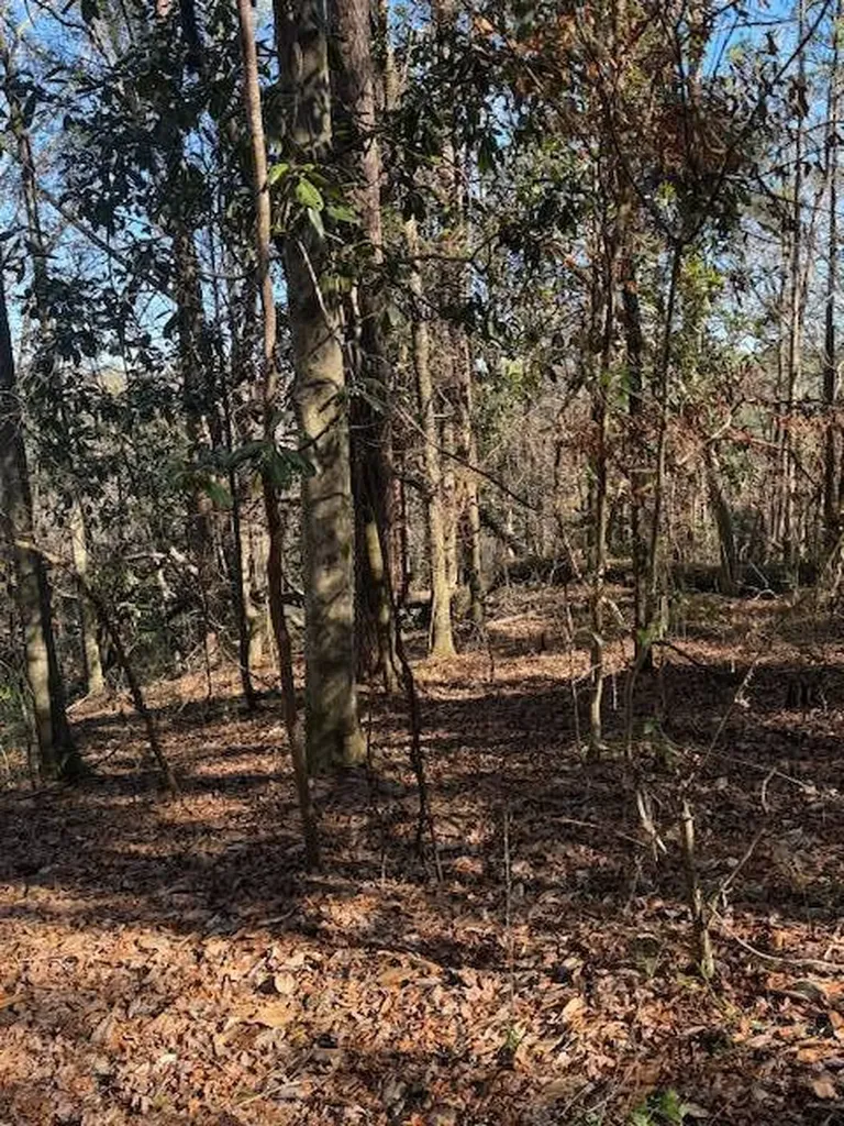 0 Ferrell Road Red Level AL 36474