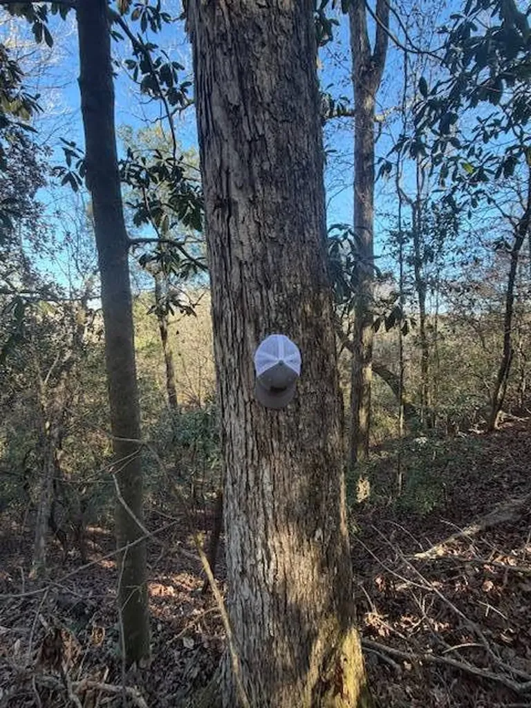 0 Ferrell Road Red Level AL 36474