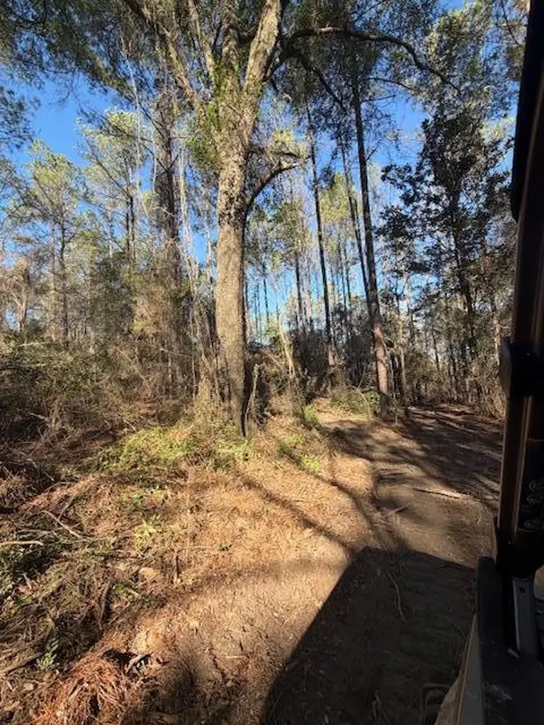 0 Ferrell Road Red Level AL 36474