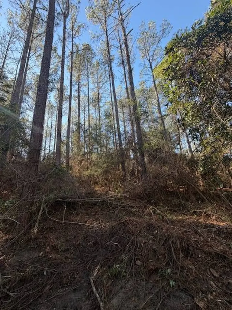 0 Ferrell Road Red Level AL 36474