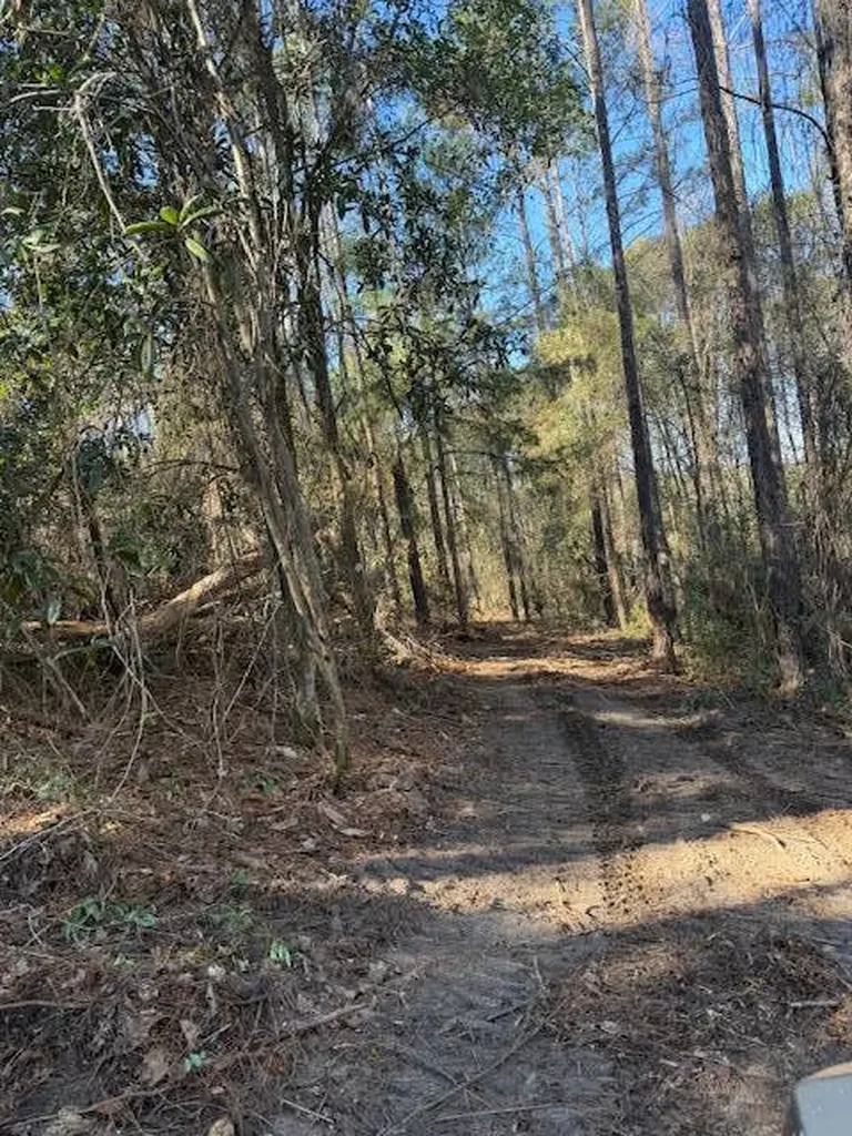 0 Ferrell Road Red Level AL 36474