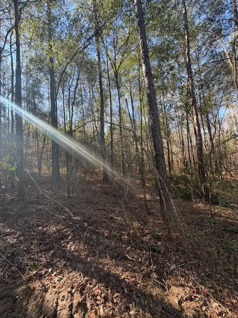 0 Ferrell Road Red Level AL 36474