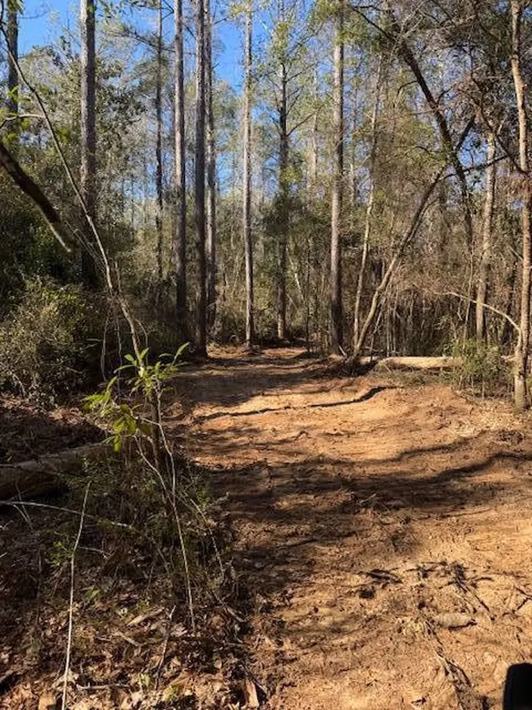 0 Ferrell Road Red Level AL 36474