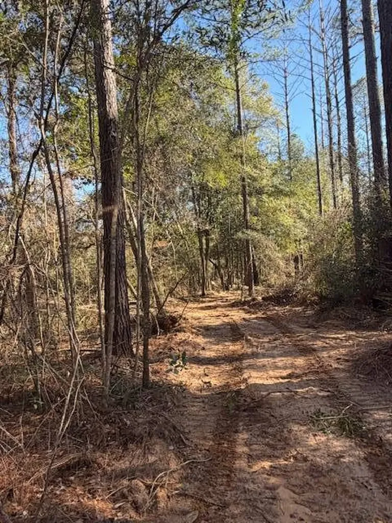 0 Ferrell Road Red Level AL 36474