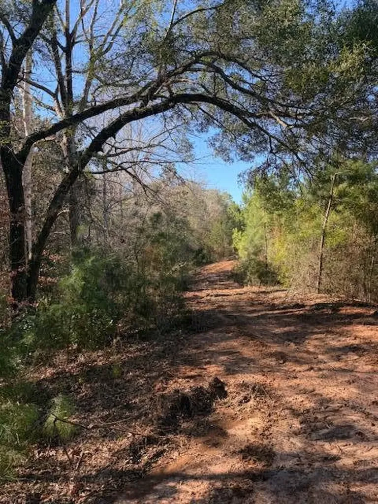 0 Ferrell Road Red Level AL 36474