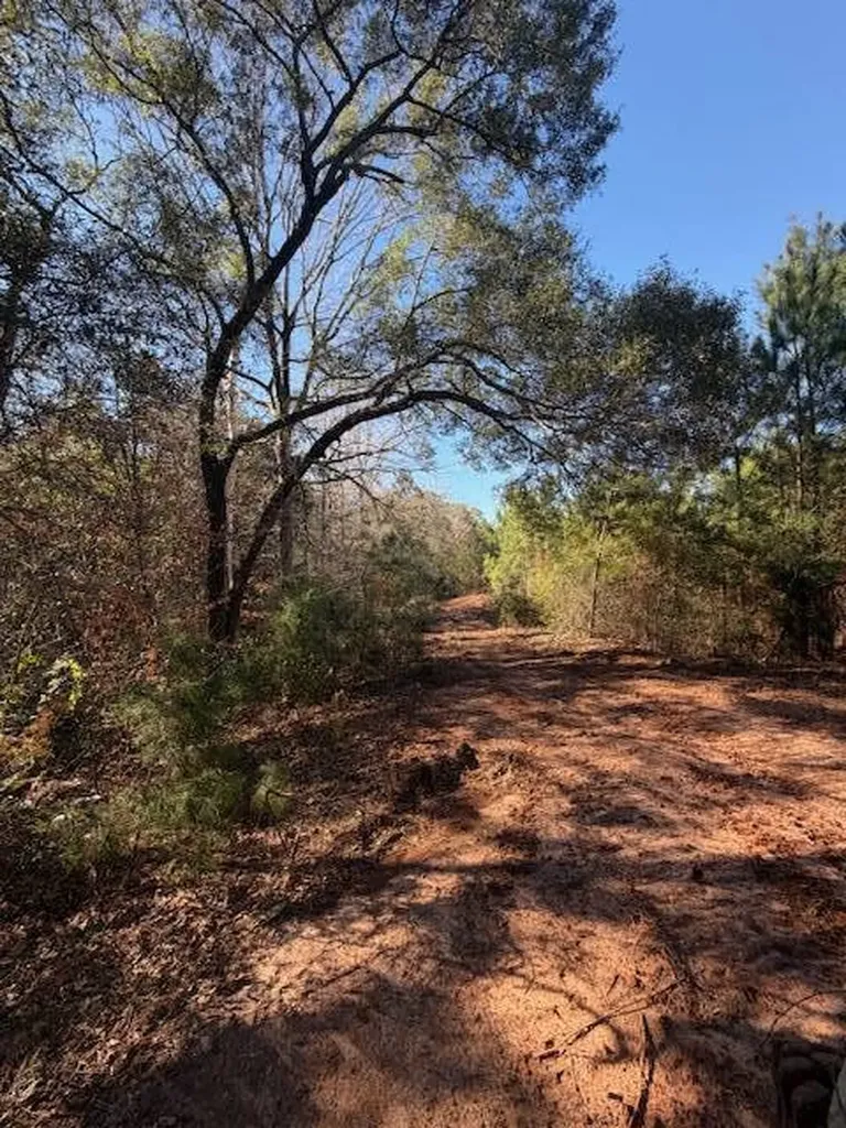 0 Ferrell Road Red Level AL 36474