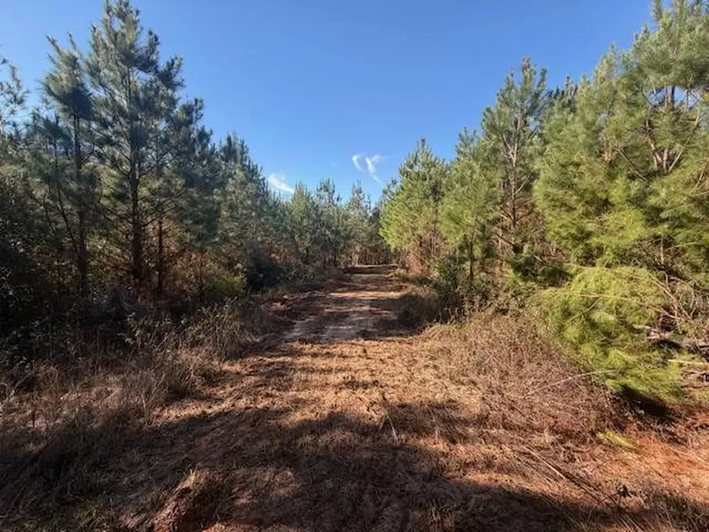 0 Ferrell Road Red Level AL 36474