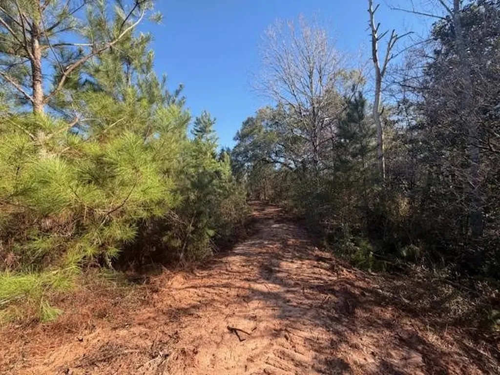 0 Ferrell Road Red Level AL 36474