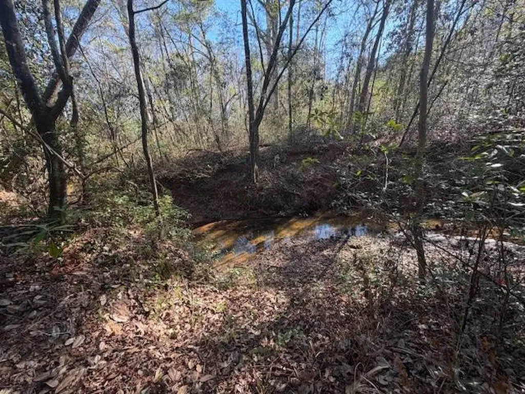 0 Ferrell Road Red Level AL 36474