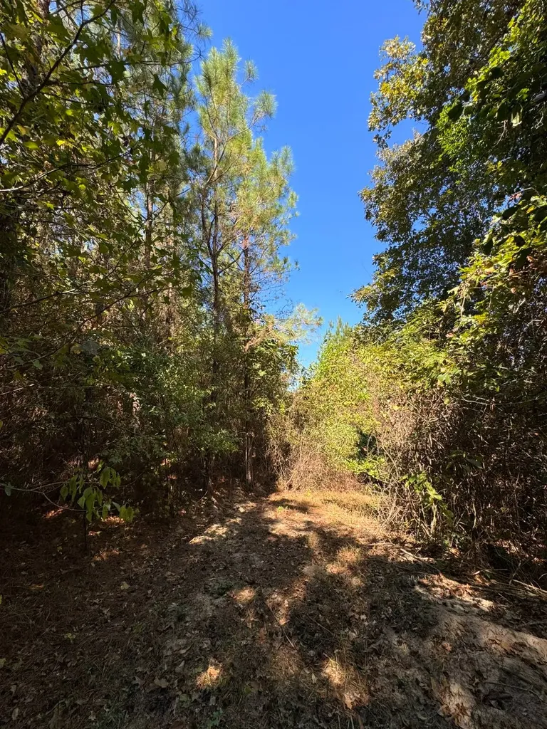 01 County Road 5 Cuba AL 36907