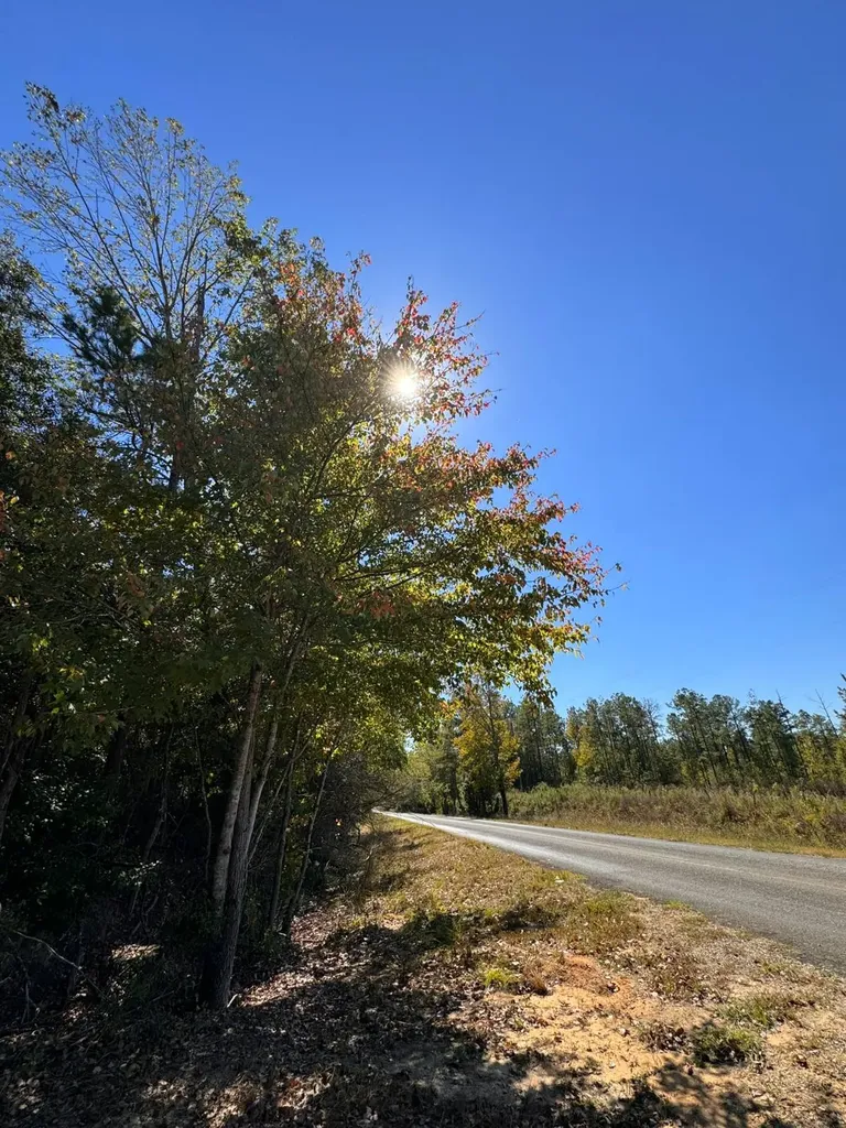 01 County Road 5 Cuba AL 36907