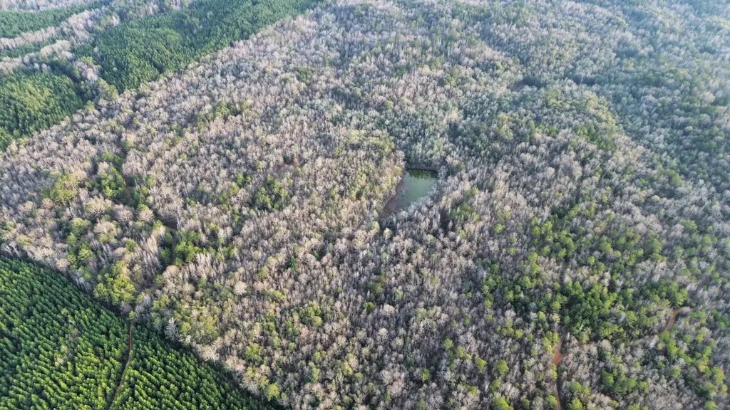 0 Southern Pines Road Dixon Mills AL 36736