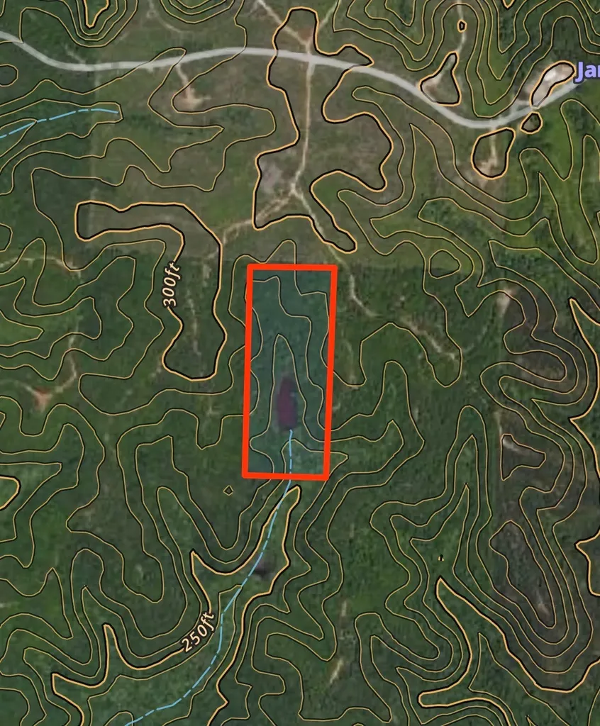 0 Southern Pines Road Dixon Mills AL 36736