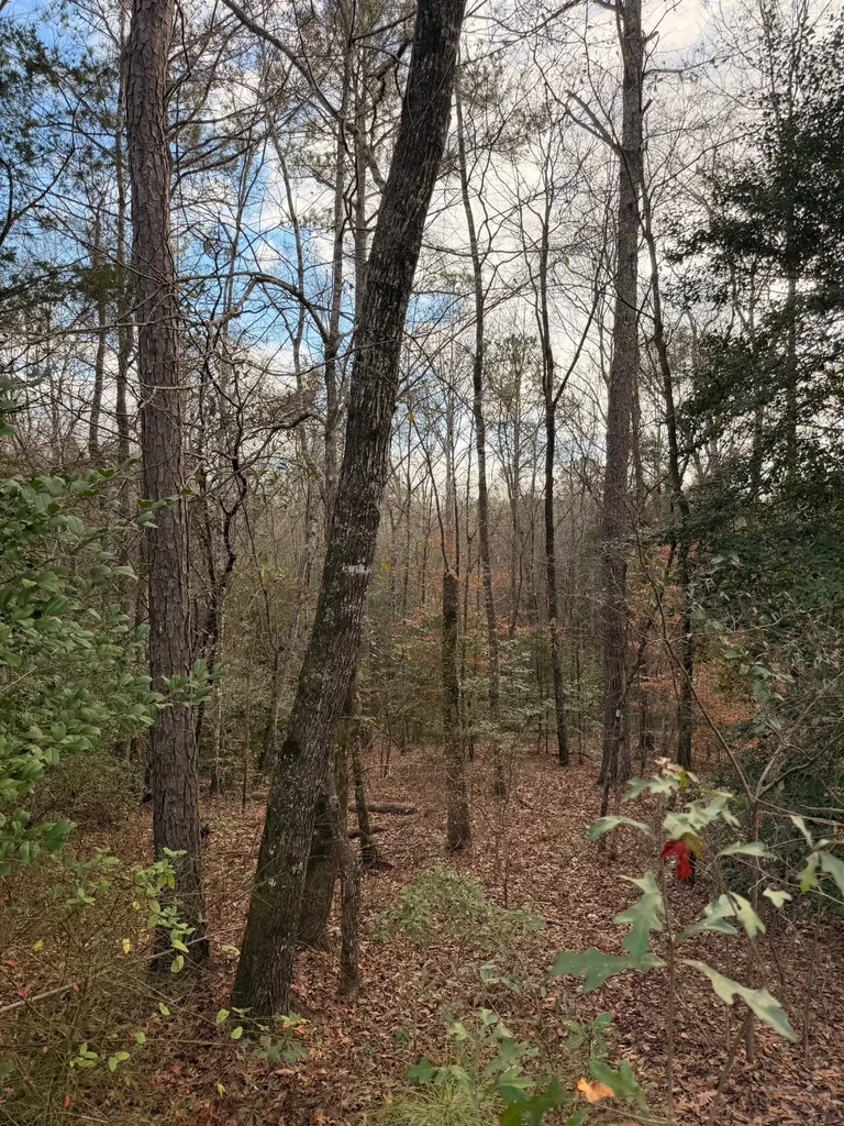 0 Deer Run Road Dixon Mills AL 36736