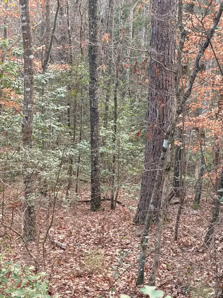 0 Deer Run Road Dixon Mills AL 36736