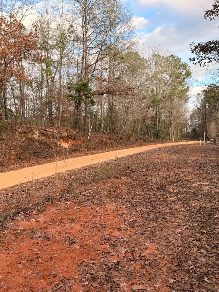 0 Deer Run Road Dixon Mills AL 36736