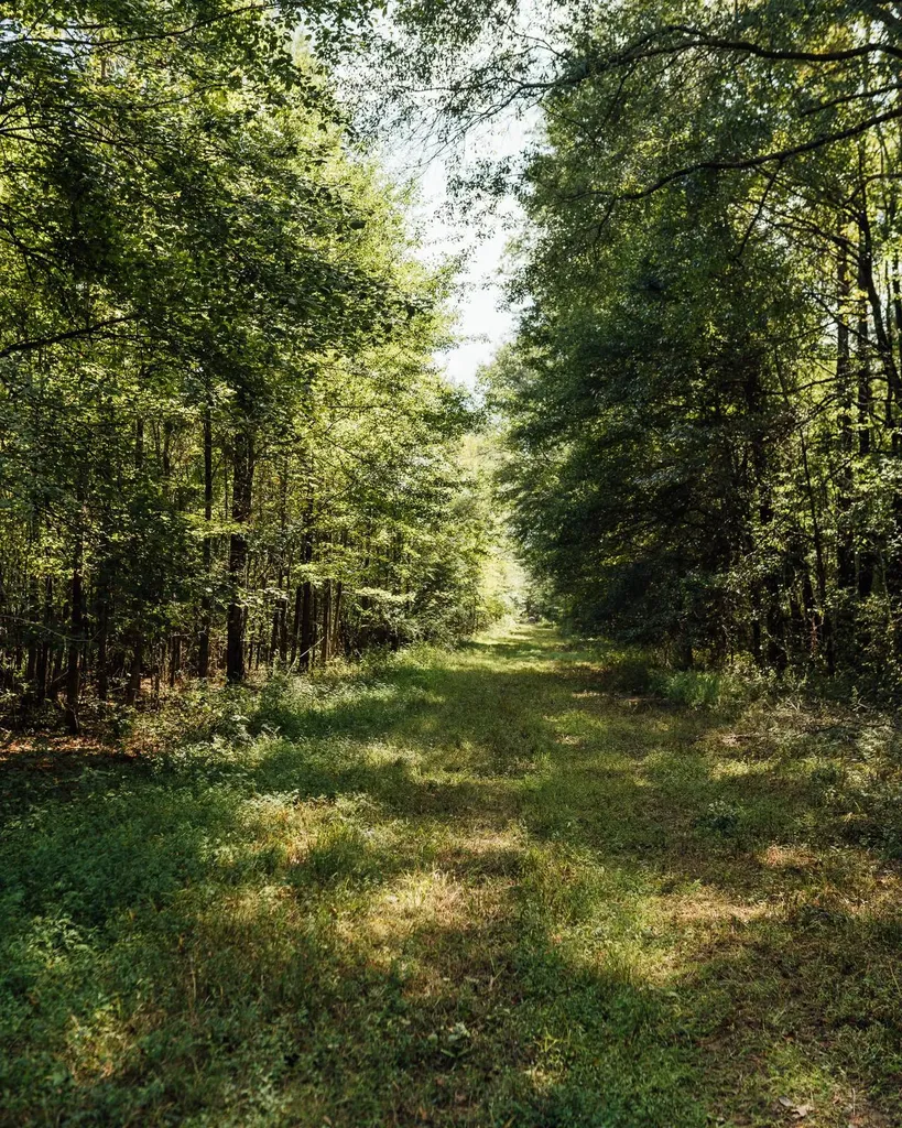 - Savage Street Millport AL 35576